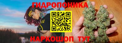 марихуана Кандалакша