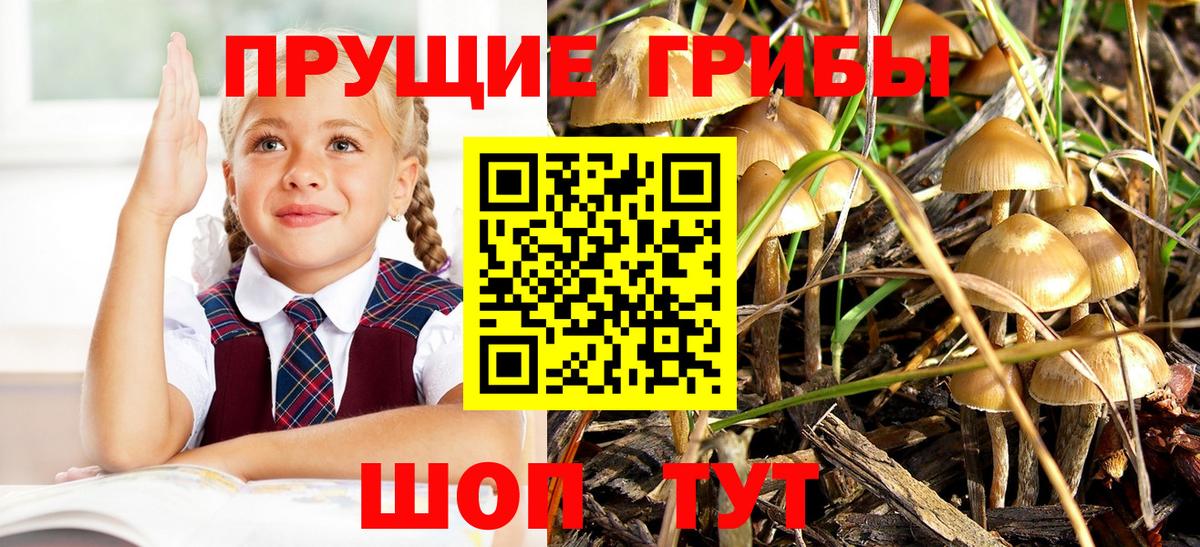 Лабинск  Псилоцибиновые грибы Magic Shrooms  Вход с VPN 